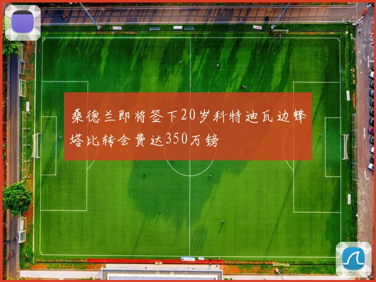 桑德兰即将签下20岁科特迪瓦边锋塔比转会费达350万镑