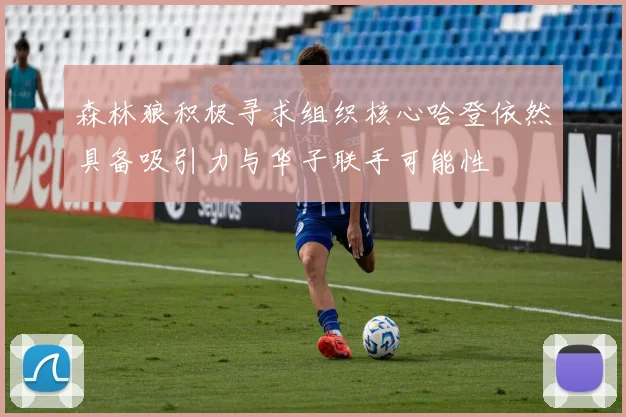 森林狼积极寻求组织核心哈登依然具备吸引力与华子联手可能性
