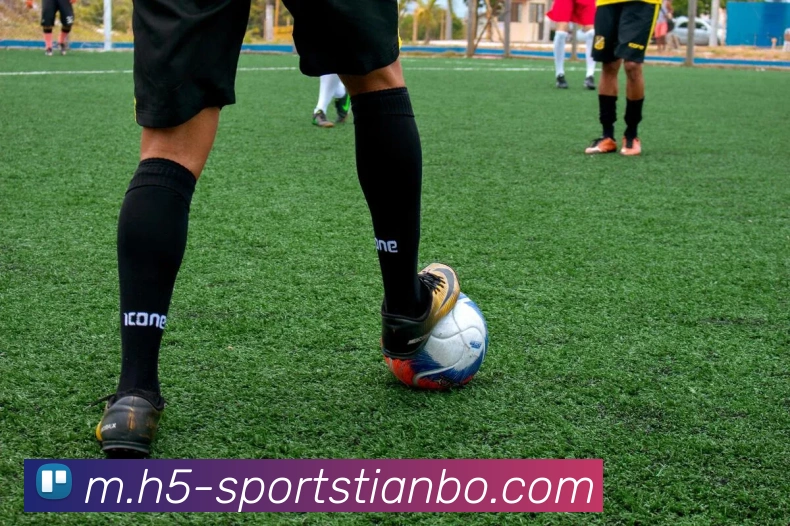 天博体育平台生态图